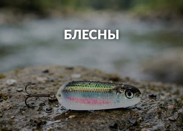 Блесны