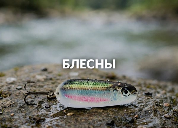 Блесны